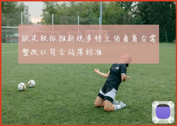 欧足联拟推新规多特主场南看台需整改以符合站席标准