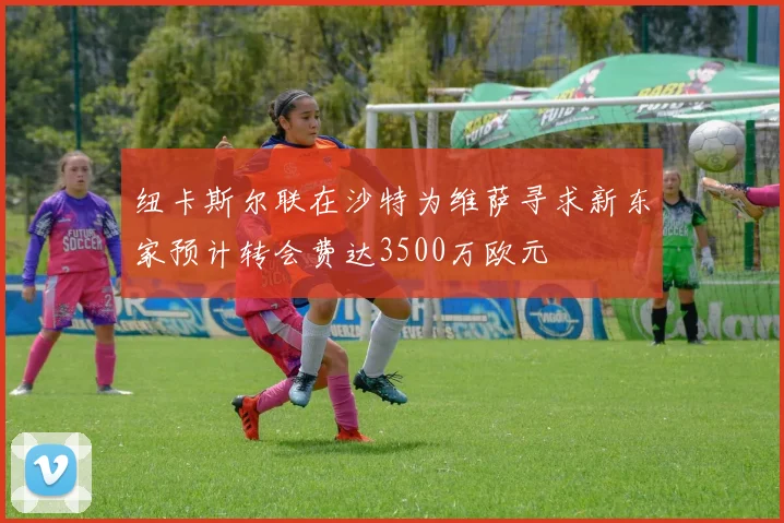 纽卡斯尔联在沙特为维萨寻求新东家预计转会费达3500万欧元